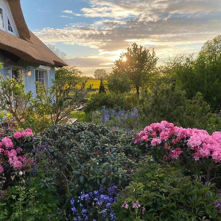 Reethaus Vilmnitz - Ferienwohnung Goor Dış mekan fotoğraf