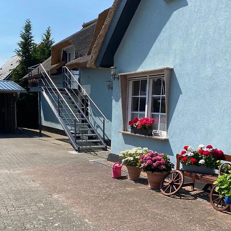 Reethaus Vilmnitz - Ferienwohnung Goor Dış mekan fotoğraf