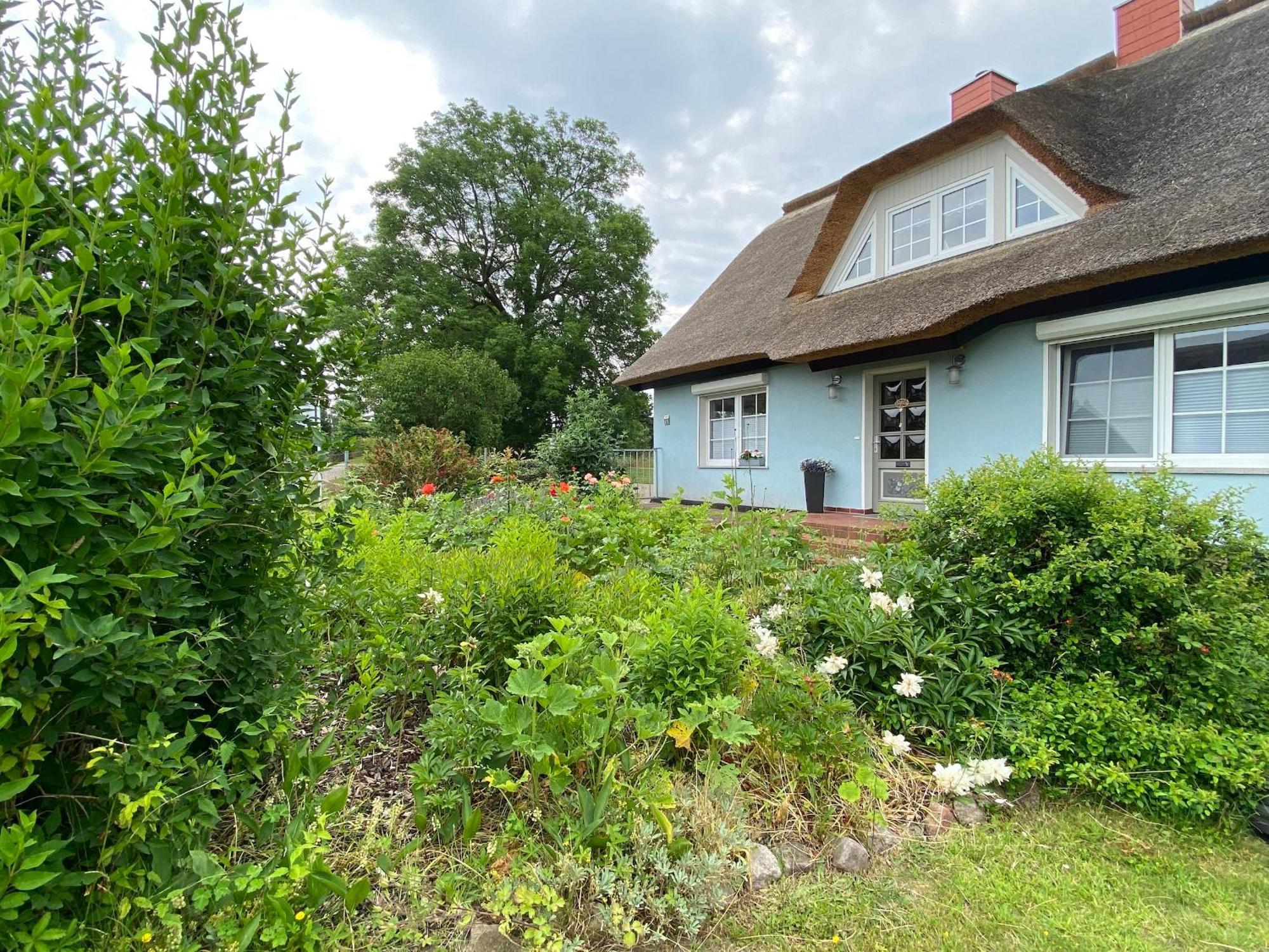 Reethaus Vilmnitz - Ferienwohnung Goor Dış mekan fotoğraf