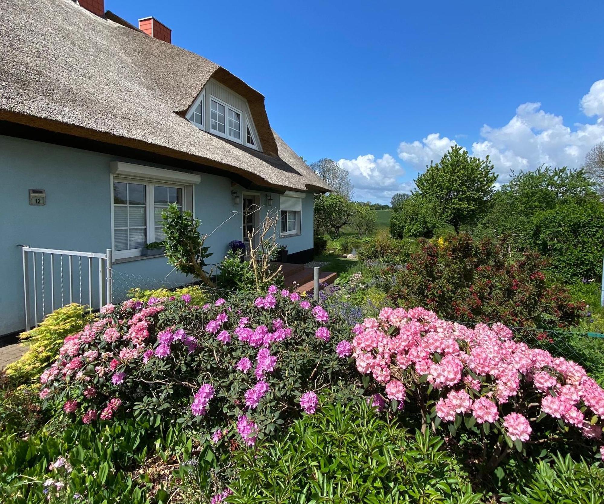 Reethaus Vilmnitz - Ferienwohnung Goor Dış mekan fotoğraf